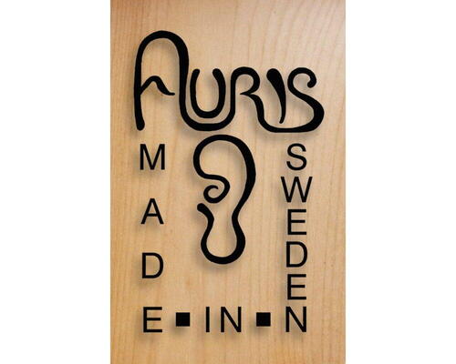 Wide Belt Sander Buldog 5 RC